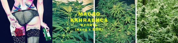дмт Алзамай