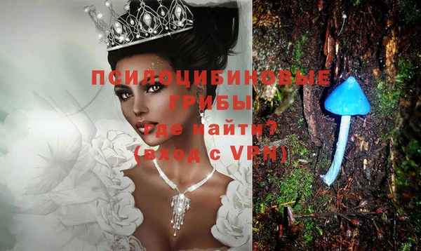 дмт Алзамай