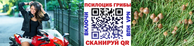 Псилоцибиновые грибы Psilocybe  магазин    Трёхгорный 