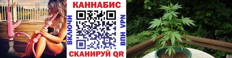 Бошки марихуана VHQ Трёхгорный